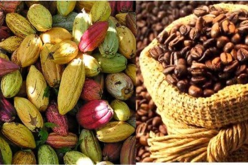 image_870x580_67738f89613c9