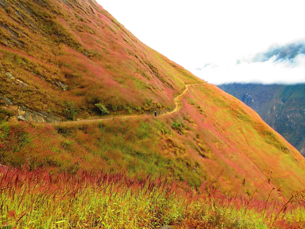 Sendero que cruza una ladera de pasto anaranjado en el camino a Choquequirao