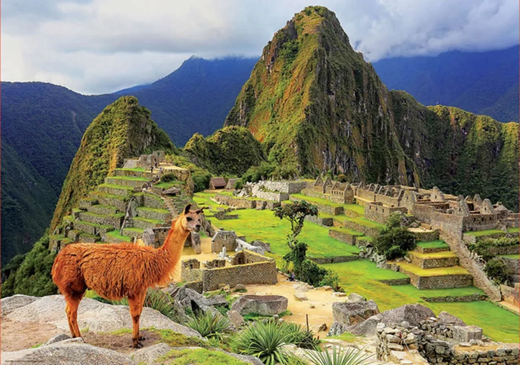 Machu Picchu con una llama en primer plano y el Huayna Picchu al fondo