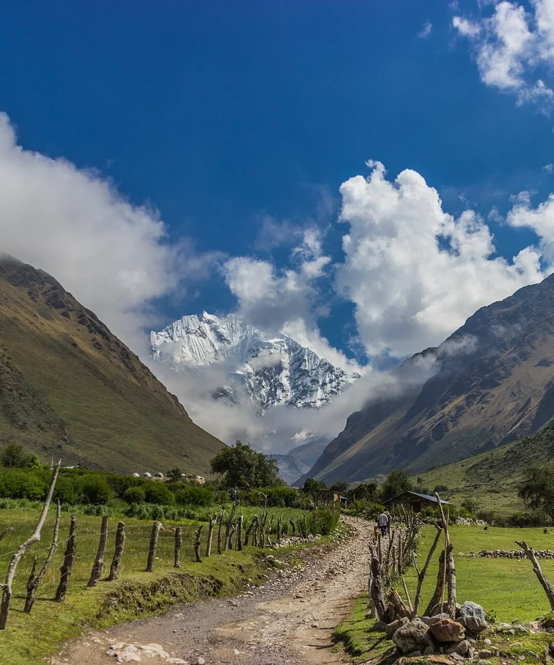 Sendero entre pastos con el nevado Salkantay al fondo